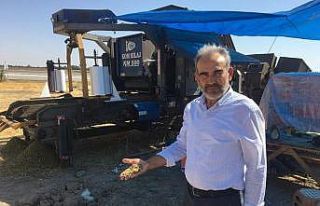 Başkan Hikmet Koyak: ’’Üretici, silajlık mısır...