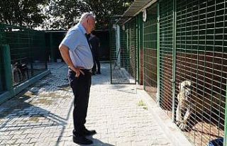 Başkan Kanar’dan ‘’hayvan mezarlığı’’...