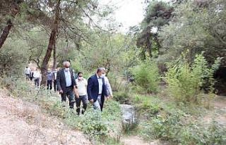 Başkan Şayir düzenleme çalışmalarını yakından...