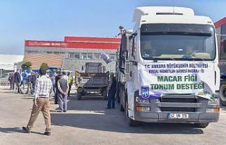 Başkentte 25 ilçenin toprağı tohumla buluşuyor