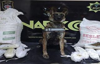 Batman’da 80 kilogram uyuşturucu ele geçirildi