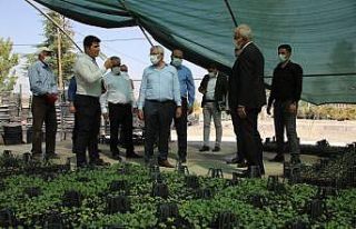 Battalgazi’de hobi bahçesi projesi