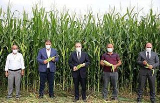 Bayburt’ta silajlık mısır hasadına başlandı