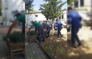 Besni’de lavanta fidanları toprakla buluşacak