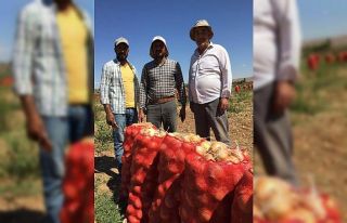 Beylikova’daki soğan üreticilerin yüzü güldü