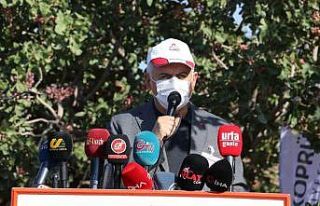 Binali Yıldırım Şanlıurfa’da fıstık topladı