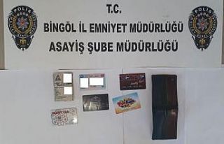 Bingöl’de hırsızlık şüphelisi 5 şahıs tutuklandı