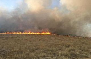 Bingöl’de ormanlık alanda çıkan yangın söndürüldü