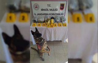 Bingöl’de uyuşturucu operasyonu: 6 gözaltı