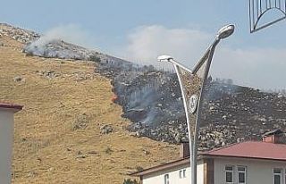 Bitlis’te 100 hektarlık alan küle döndü