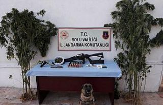 Bolu’da 1 ay içinde 33 kilo esrar, 327 gram eroin...