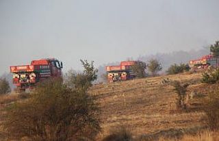 Bolu’da, 40 hektarlık alanda etkili olan orman...
