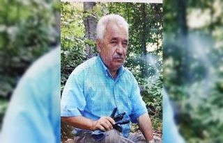 Bolu’da, oğlunun kestiği ağacın dalı başına...