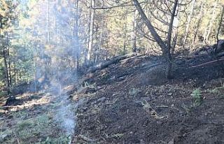 Bolu’da orman yangınında soğutma çalışması...
