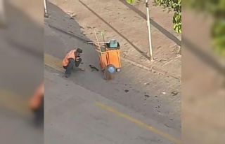 Bolu’da temizlik işçisi yanına gelen kargayı...