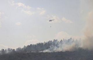 Bolu’da yangın 40 hektarlık alanda etkili oluyor