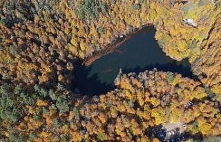 Bolu’nun doğa harikalarına turist akını