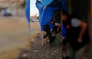 Brandaya gizlenen esrar maddesini narkotik köpeği...