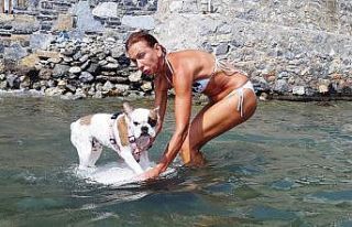 Bu köpeğin en büyük zevki sörf yapmak