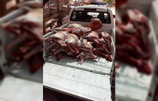 Buca’da kaçak et operasyonu