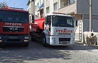 Bursa’da ’Benekli’ ismi verilen inek yangından...