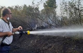 Bursa’da makilik alanda çıkan yangın korkuttu