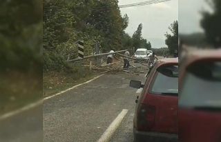 Bursa’da rüzgar ağaçları devirdi, yol trafiğe...