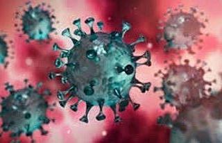 Bursa’da SARS COV-2’ye karşı nano-solüsyon...