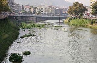 Bütün nehri istila etmişlerdi, yine geldiler