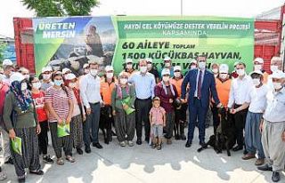 Büyükşehir Belediyesinin projesiyle 60 aileye toplam...