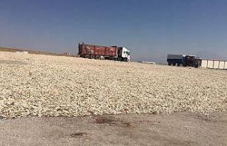 Büyükşehir’den çiftçiye hep destek