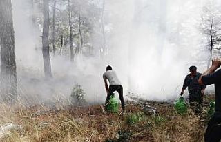 Çalıyı çırpıyı alan köylüler yangına koştu,...