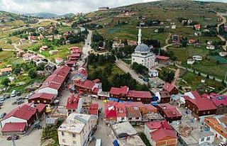 Çambaşı Yaylası’na ilgi arttı