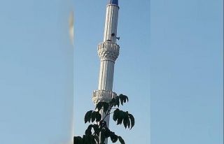 Cami minaresinde dolaşan tilki görenleri şaşırttı