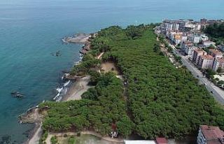 Çamlık halkın oldu