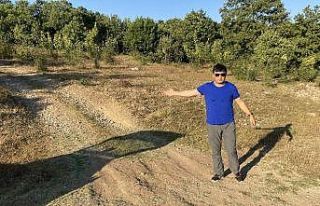 Çanakkale’de toprağa yatırım arttı