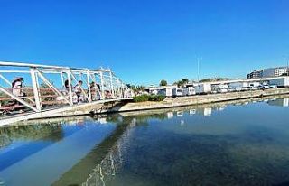 Çanakkale’den binlerce kefal sürüsü merak uyandırdı