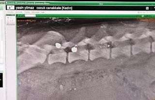 Caniliğin böylesi.. sokak köpeğini hedef tahtasına...