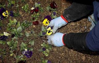 ÇANSERA’da üretime devam