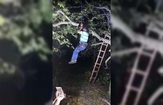 Ceviz dökmek için çıktığı ağaçta mahsur kaldı,...