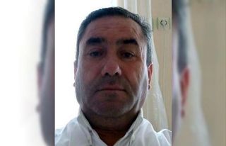 Cevizleri çırpmak için çıktığı ağaçtan düşüp...