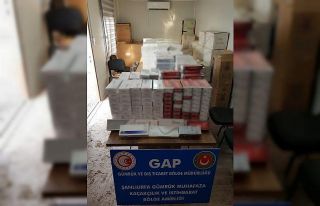 Ceylanpınar Gümrük Kapısında 37 bin 500 paket...