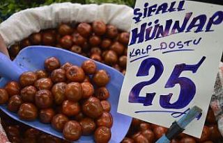 Çinlilerin ’hayat şurubu’ hünnap tezgahtaki...