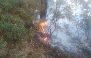 Çöplükte çıkan yangın ormana sıçradı