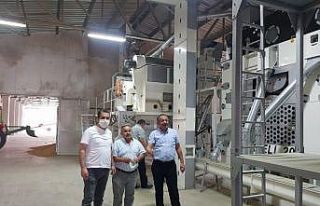 Çorum Ziraat Odası’ndan sertifikalı tohum üretimini