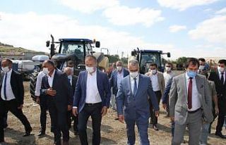 Çorum’a düve merkezi kurulacak