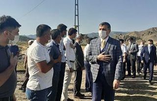 Çorum’un Osmancık ilçesinde çeltik hasadı sürüyor