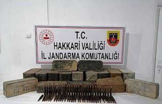 Çukurca kırsalında silah ve mühimmat ele geçirildi