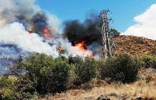 Dalaman yangın söndürüldü