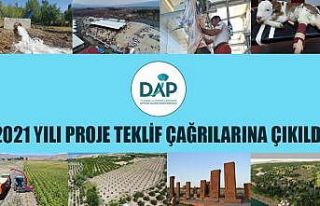 DAP Bölge Kalkınma İdaresi Başkanlığı 2021...